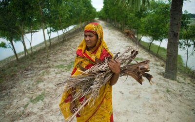 Governments lead Asia’s $100 billion climate resilience push