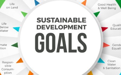 India’s social protection coverage, renewables capacity nearly triples in a decade: Ministry