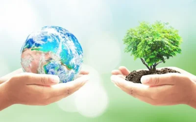 Companies reaffirm sustainability commitments on World Environment Day