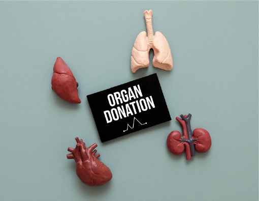India achieves landmark milestone of 5 lakh organ donation pledges