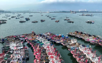 Bavi hits China, Millions evacuated