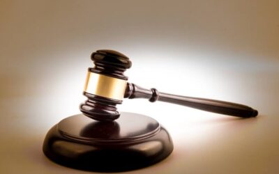 Social media platforms accountable to Indian laws, investigation agencies: Allahabad High Court