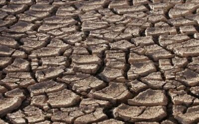 Drought declared in three-quarters of India’s richest state, Maharashtra